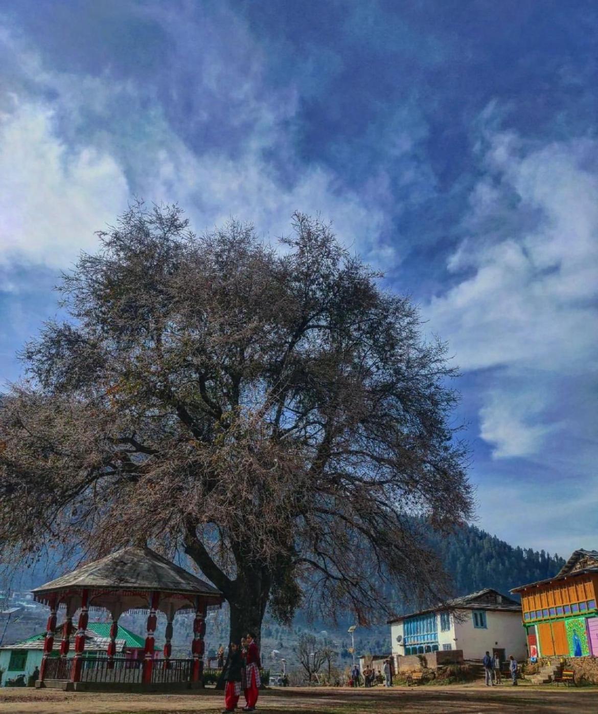 Sainj Riverside Cottages المظهر الخارجي الصورة